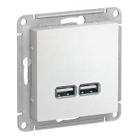 Модуль розетки с USB A (2 порта) (M0401) Белый