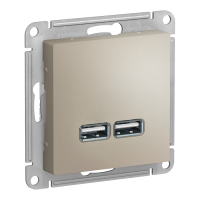 Модуль розетки с USB A (2 порта) (M0403) Шампань