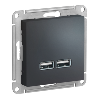 Модуль розетки с USB A (2 порта) (M0404) Графит