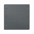 Scene Switch 6 (Grey)