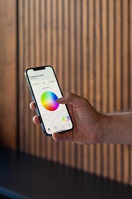  (Квартира в  ЖК “Петровский Квартал на воде”). Интерфейс управления